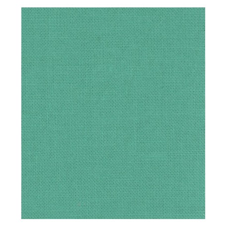 Basics Bella Solids