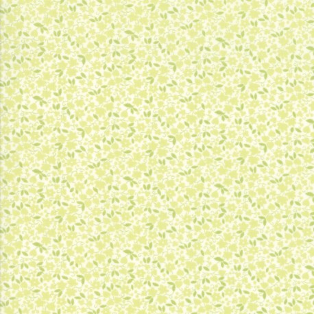 Dainty Meadow
