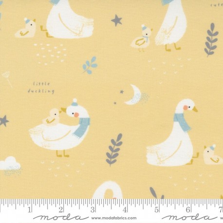 Little Ducklings