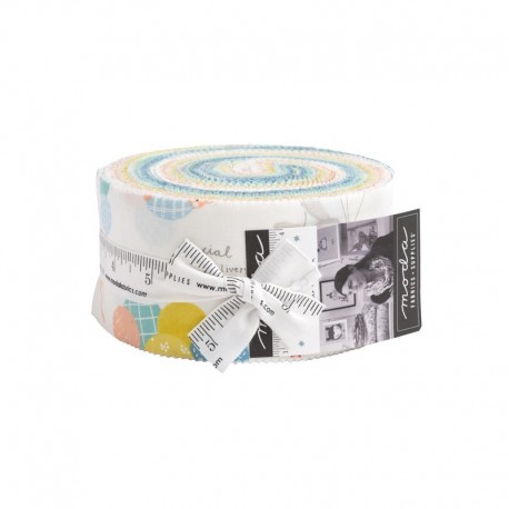 Jelly Roll Delivered with love