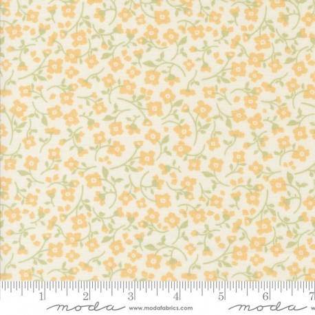 Dainty Meadow