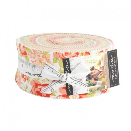 Jelly Roll Portofino