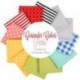 Charm Pack Coriander Colors
