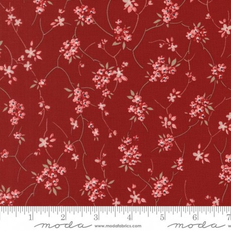 Blossom Jubilee