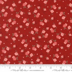 Blossom Jubilee