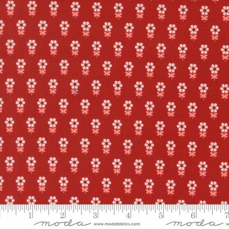 Blossom Jubilee