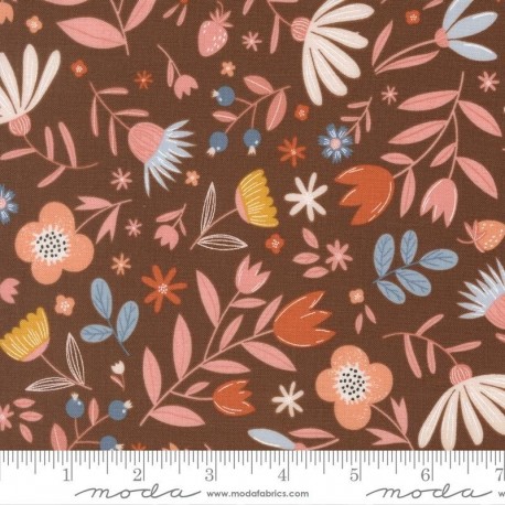 Blossoms and Blooms