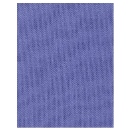 Basics Bella Solids