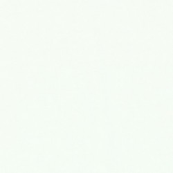 Basics Bella Solids